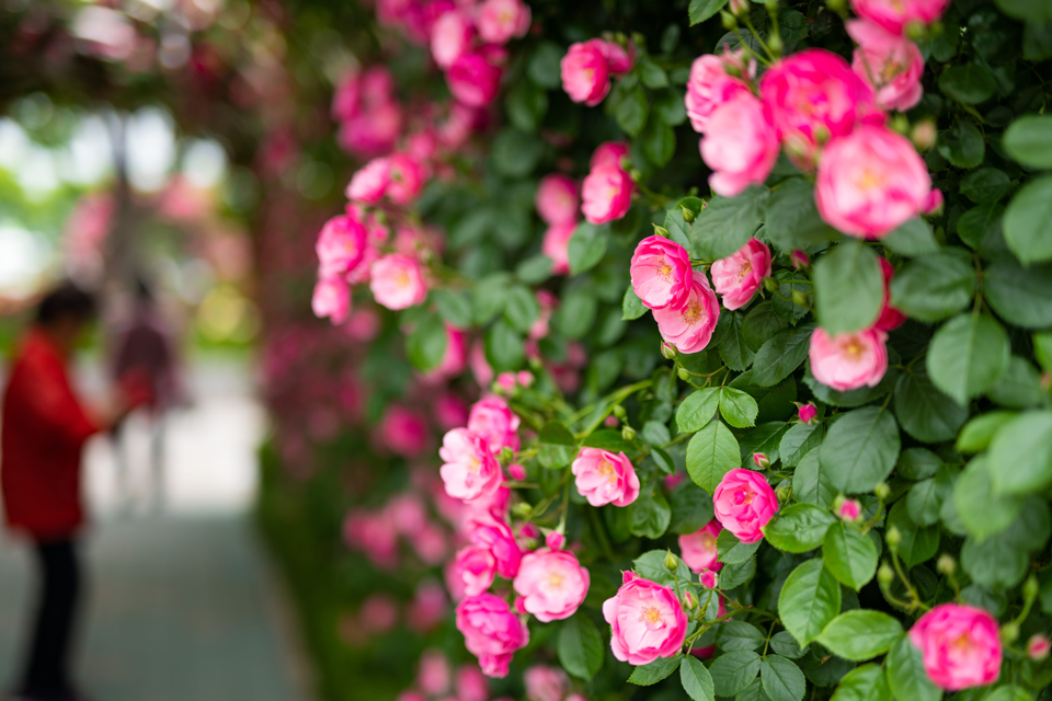 PeopleTogether1-image1