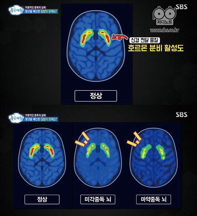 그래프